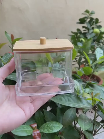 Bamboo Cotton Swab Dispenser